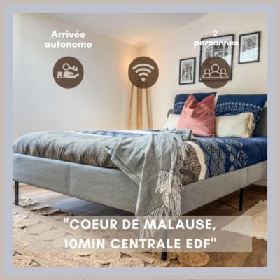 Malause Le Gite 4 - Charmant Studio 30M2, Ideal Professionnels, 10Min Golfech מראה חיצוני תמונה